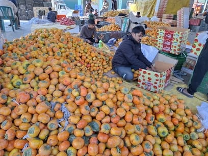 Japanese fruit sold at Rs 160 per kg in Bhuntar market