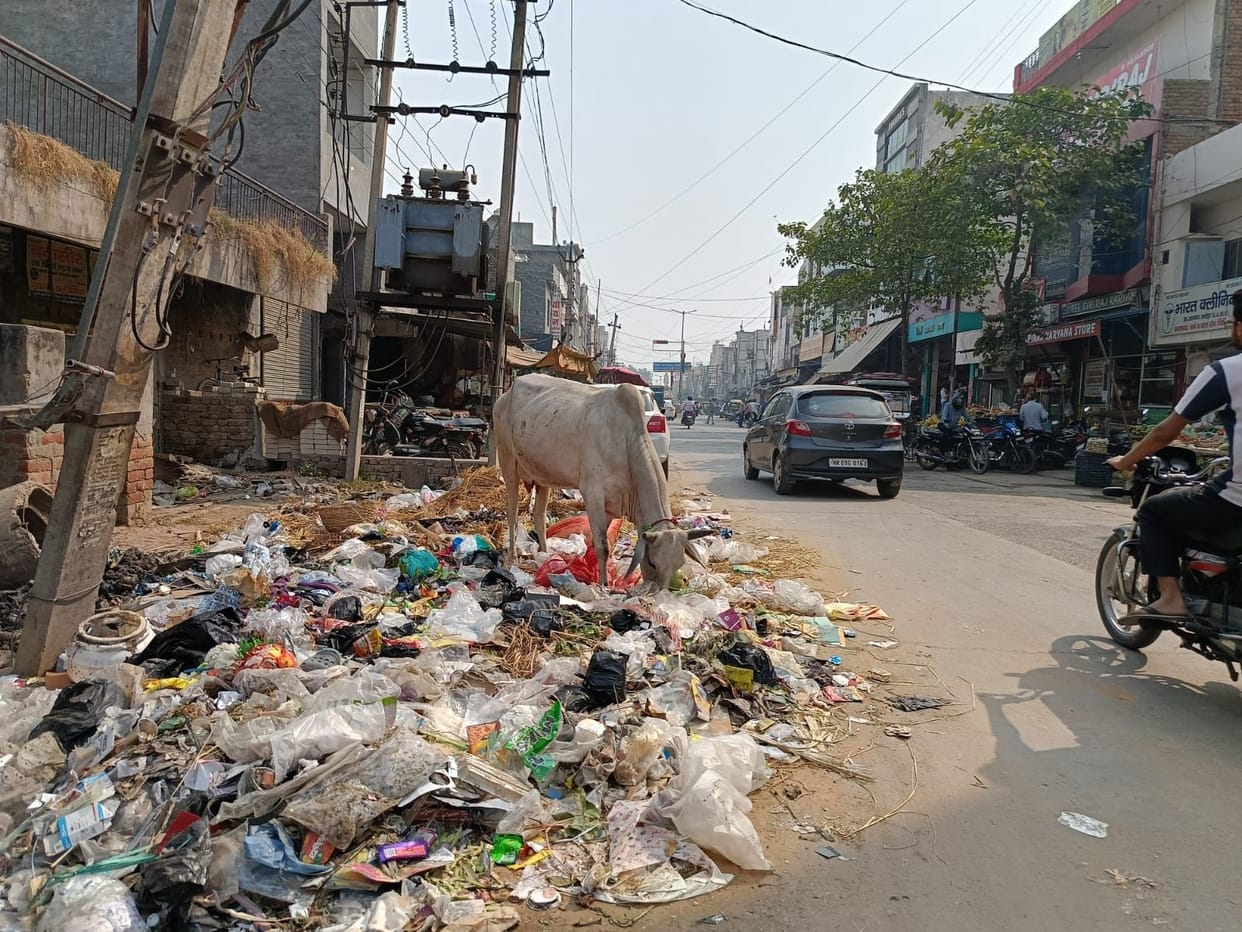 All attention is on what the CM will see, the city's sanitation system is in a bad state
