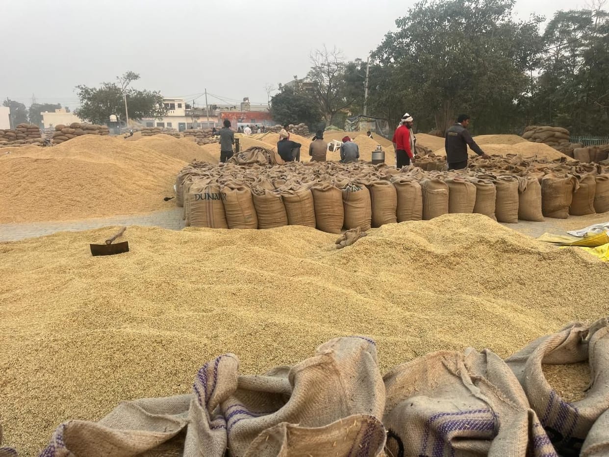 Haryana 39 market secretaries from eight districts face action in paddy scam