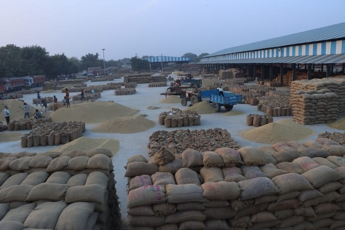 Central government approves paddy procurement in Haryana