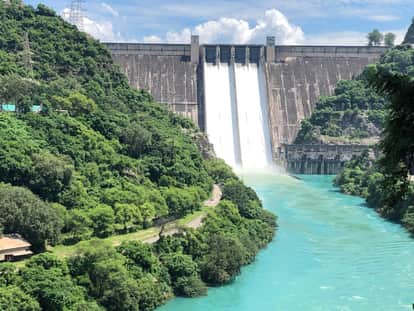 Himachal: Punjab's canal repairs will further increase water in Bhakra Dam; find out what the management says