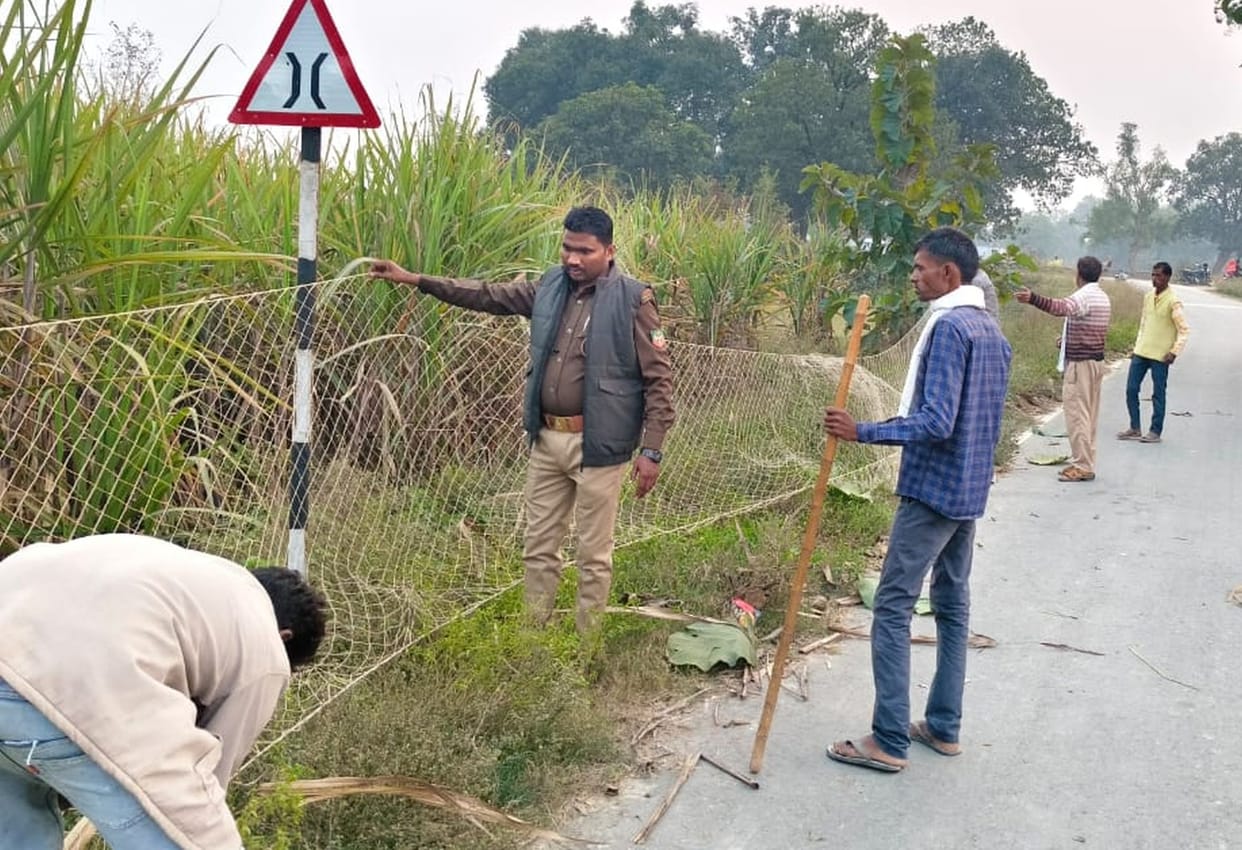 Four women injured in jackal attack, panic in Dakshingaon and Manjgaon