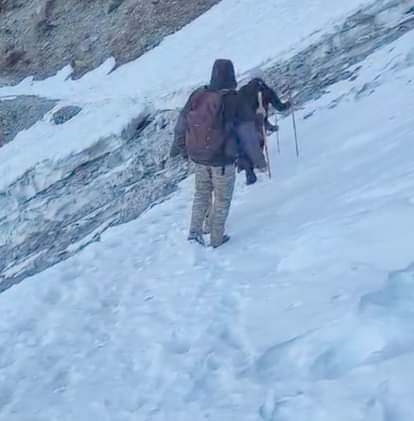 The bear trapped in the box was not found, the forest department team returned.