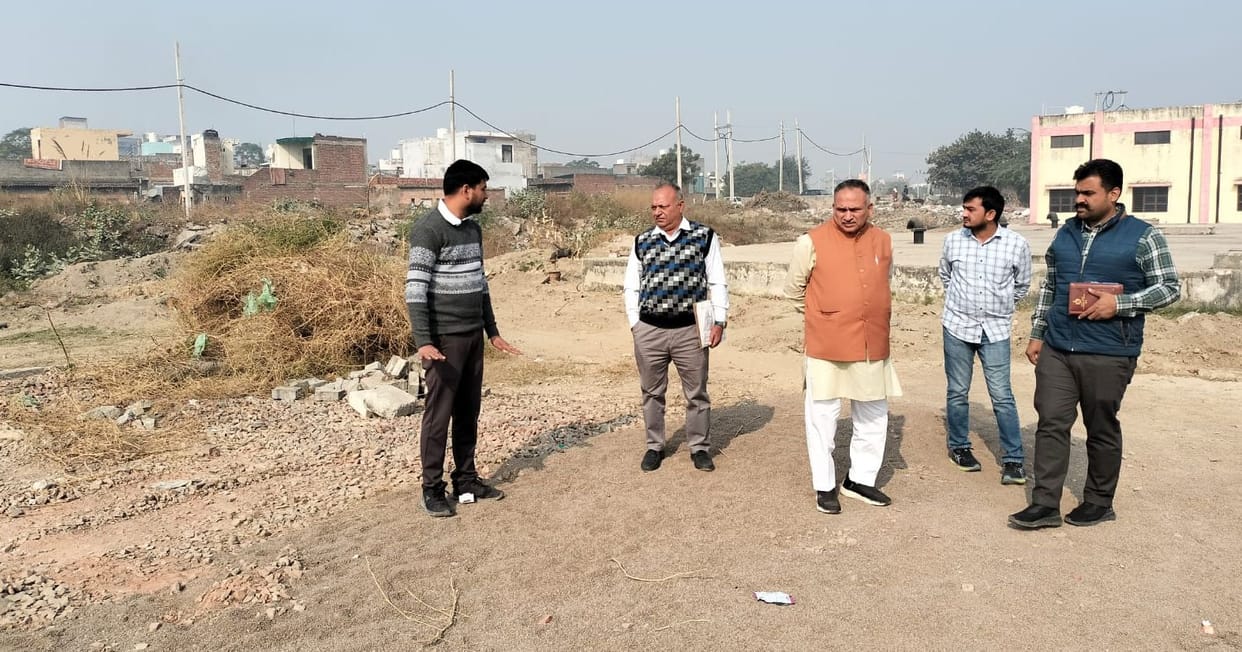 Municipal Corporation will develop green belt in sectors