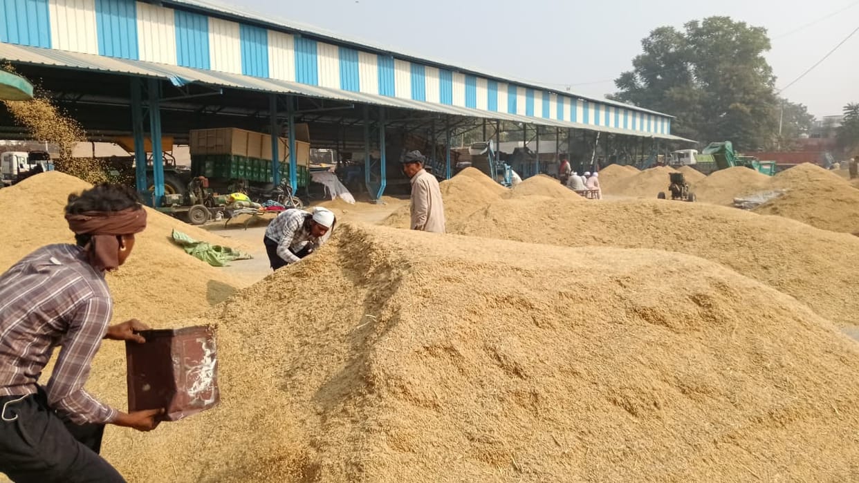 Basmati rice prices rose by Rs 700 per quintal after government procurement was halted.