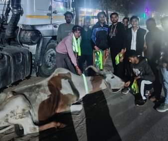 A group of 11 young people are putting radium strips on cattle, saving their lives.