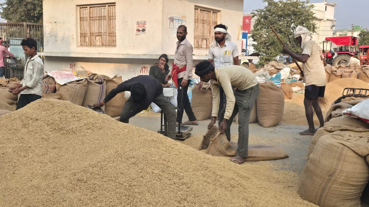 Private purchase and lifting of paddy continues in the markets