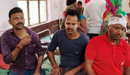 Bike collides with pig on highway, three injured