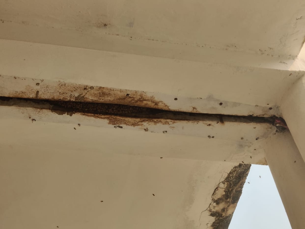 Plenty of mismanagement in Pandit Deendayal Ashram Paddhati Girls School