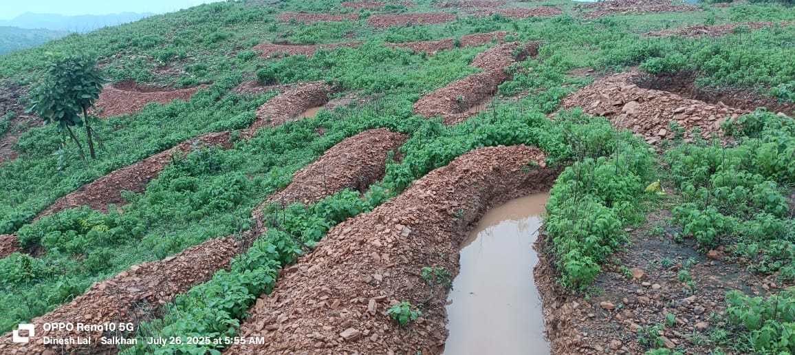 Half Moon Bending brings greenery back to the desolate hill