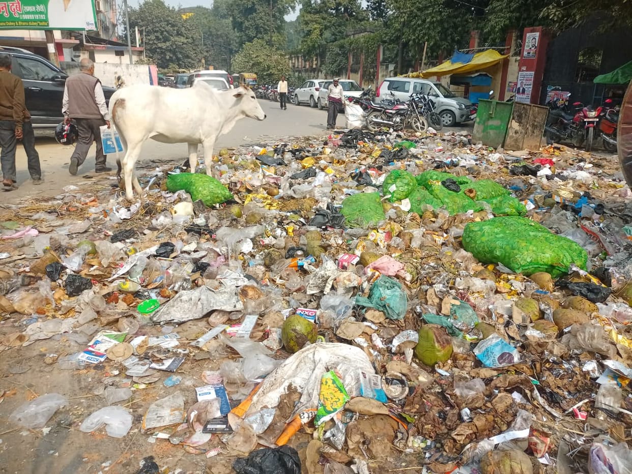 People troubled by dirt and smell, responsible silent