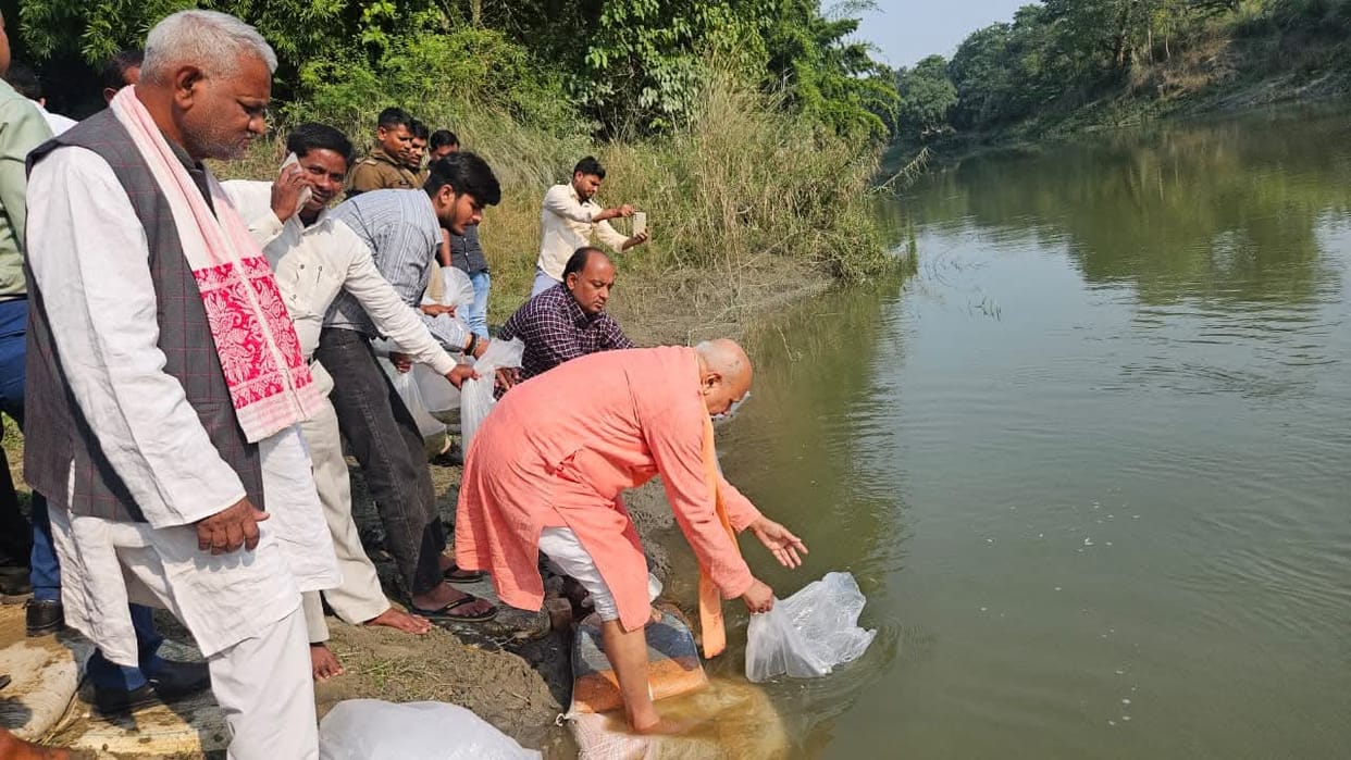 If you kill fish released into rivers, you will go to jail.