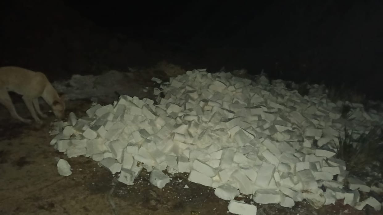 10 quintals of spoiled cheese found at Radhika Dairy, it was meant to be consumed at weddings