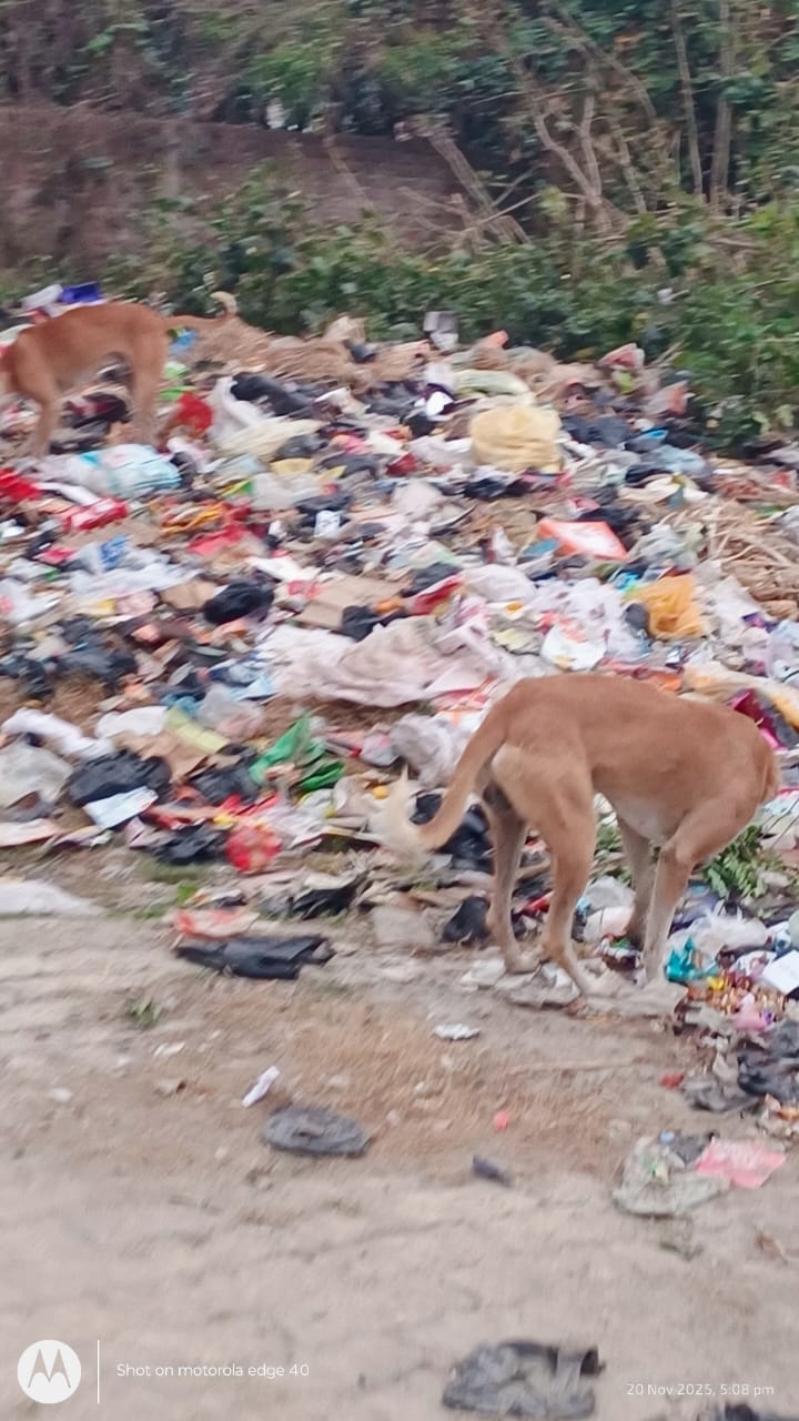 The villagers beat the ferocious dog to death.