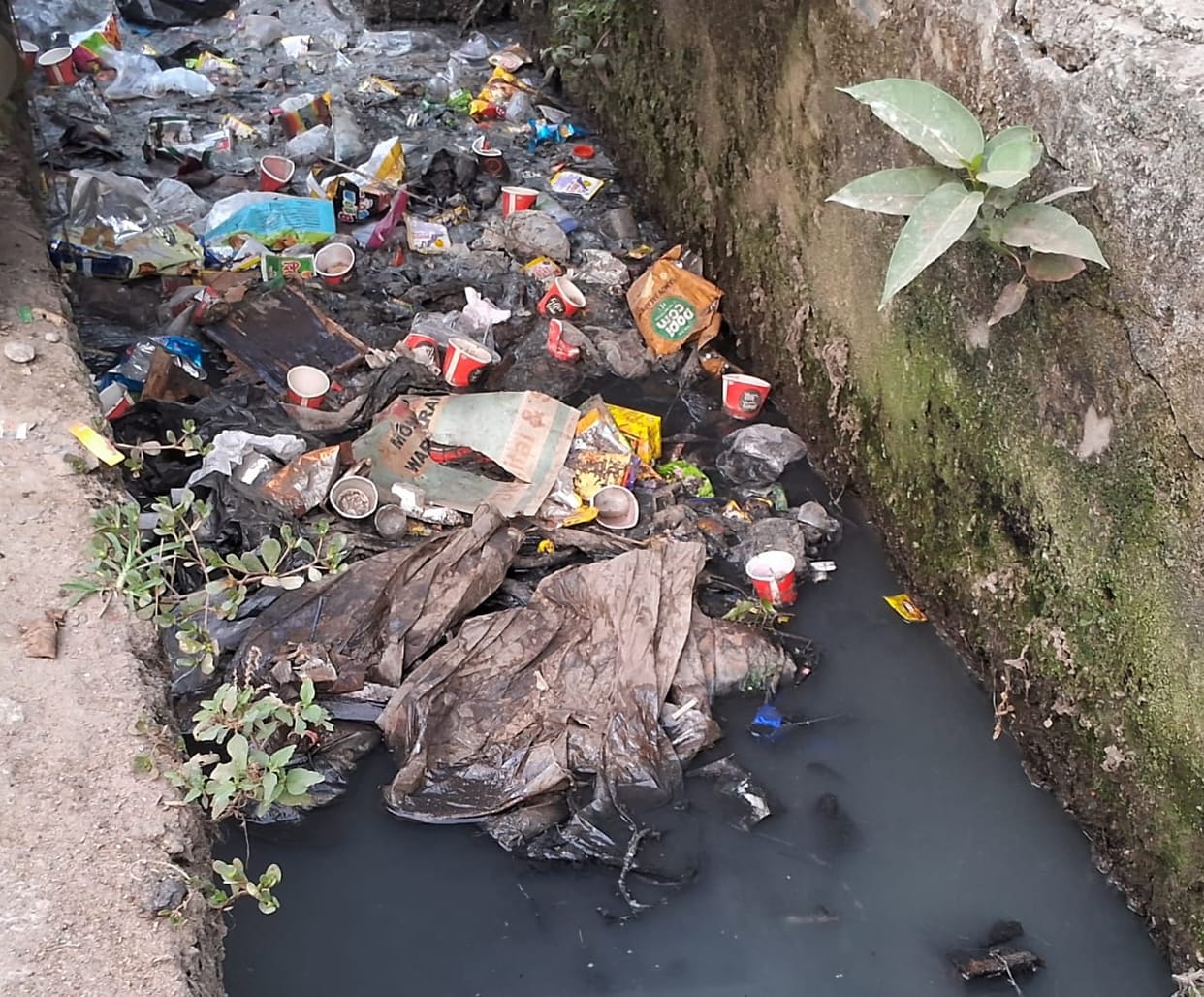 Municipality: Drains clogged with filth even after spending 20 lakhs