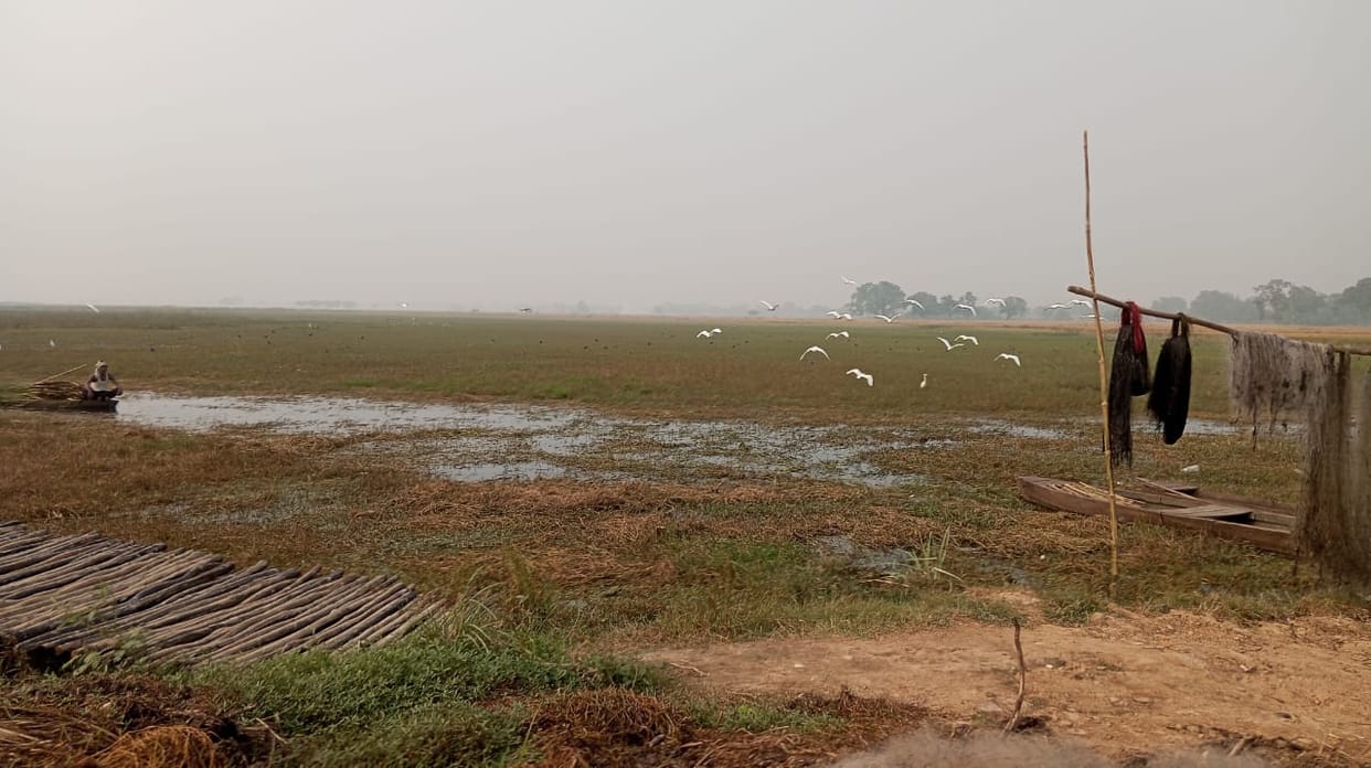 Birds arrived from thousands of kilometers away, Alwar Lake is blooming