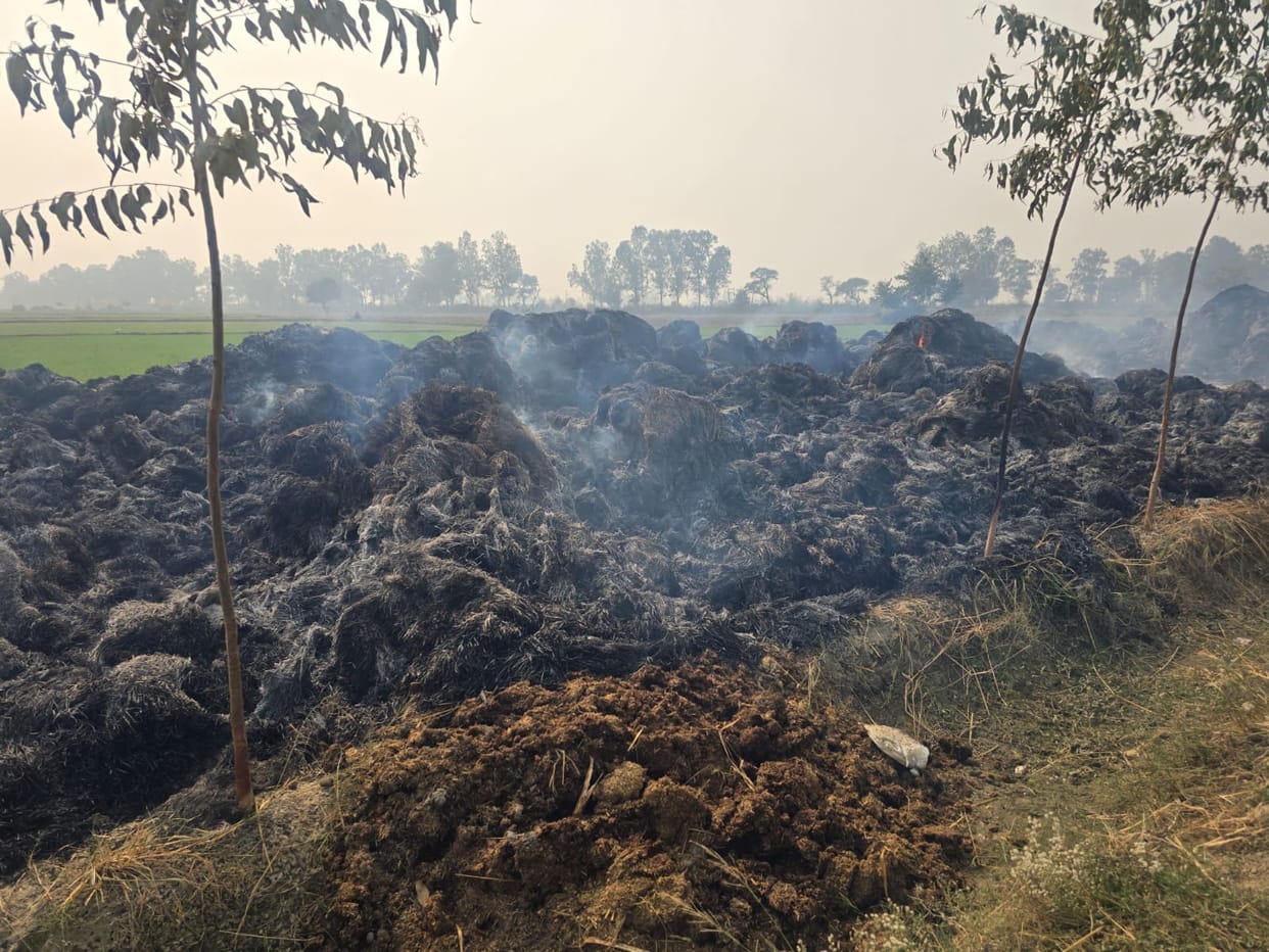 Stubble burnt in 60 acres, paddy worth lakhs also burnt to ashes