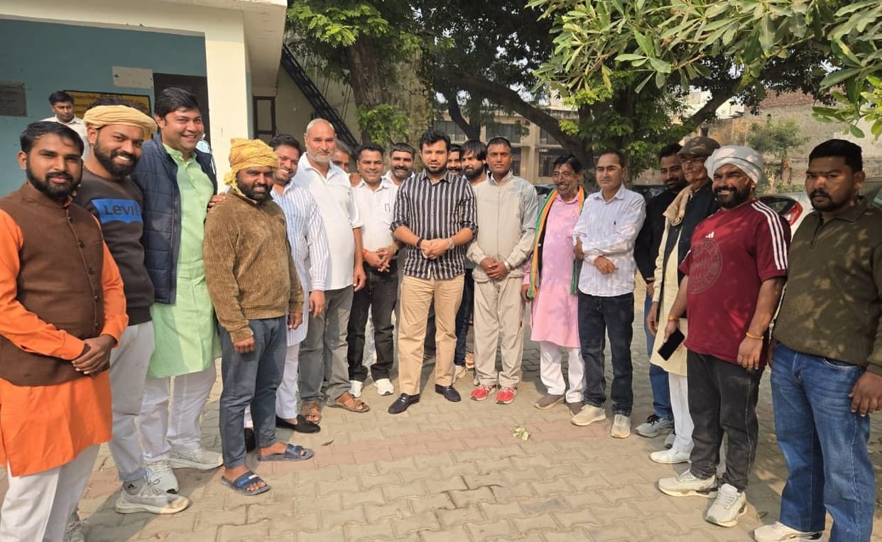 Action will be taken if flaws are found in development works: MLA