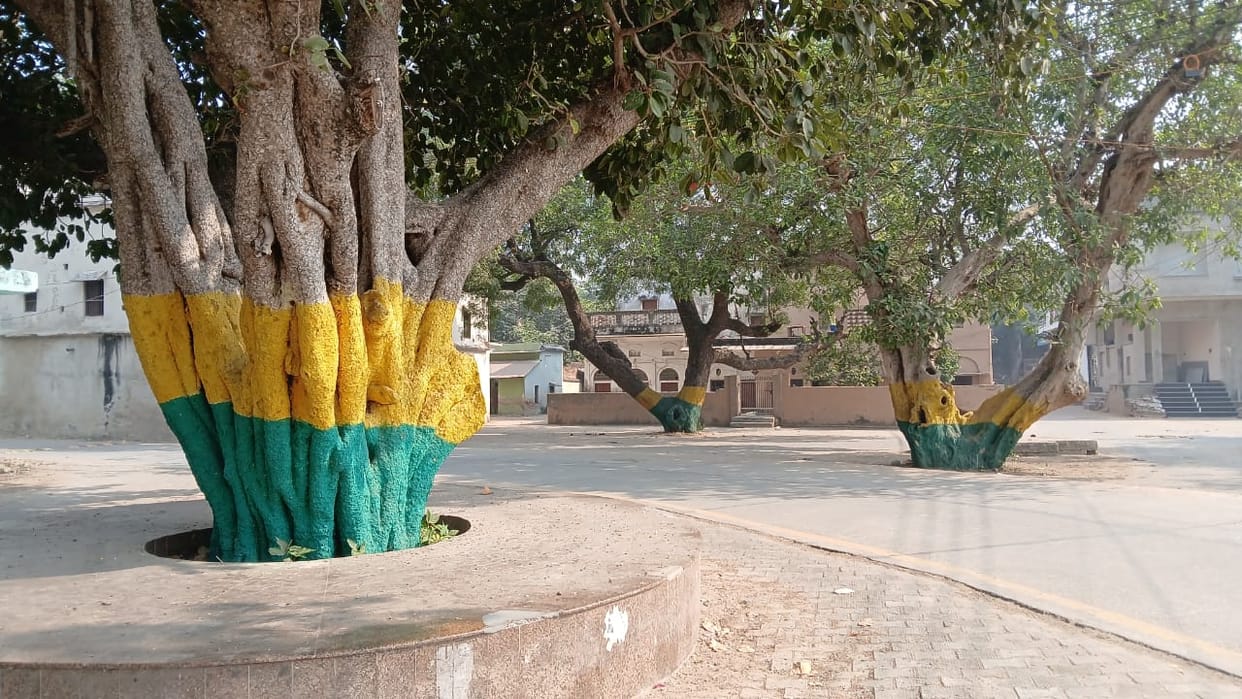 Pranavayu Devta Pension Scheme...Now 262 tree owners will get pension