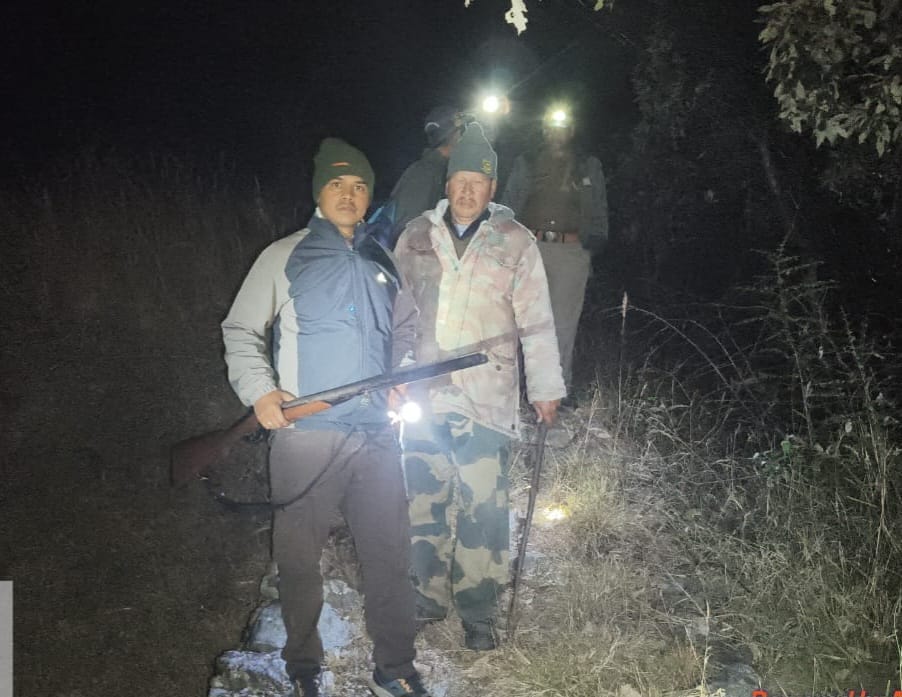 Bears spotted at two locations, students abandon school bags and run for their lives