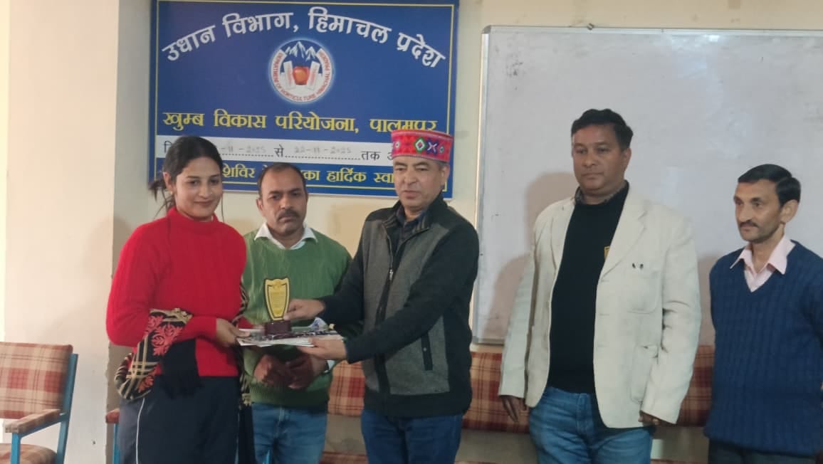 Mushroom production becomes a new income option