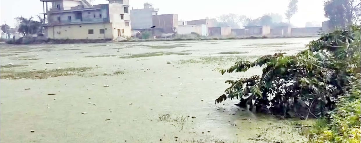 Farmers of Raswan Kalan area will meet the MLA and demand construction of a drain.