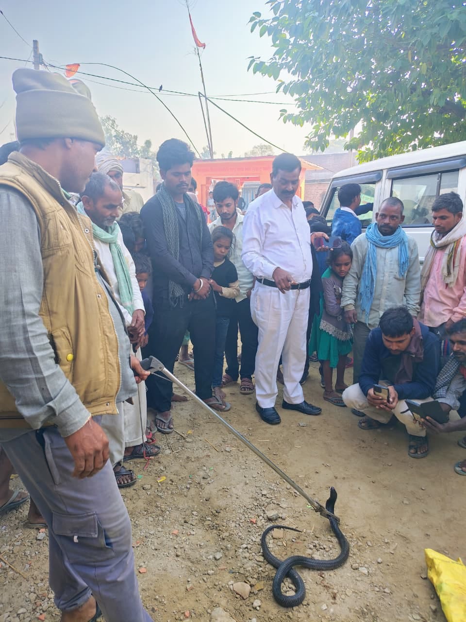 People were scared after seeing a snake in the house