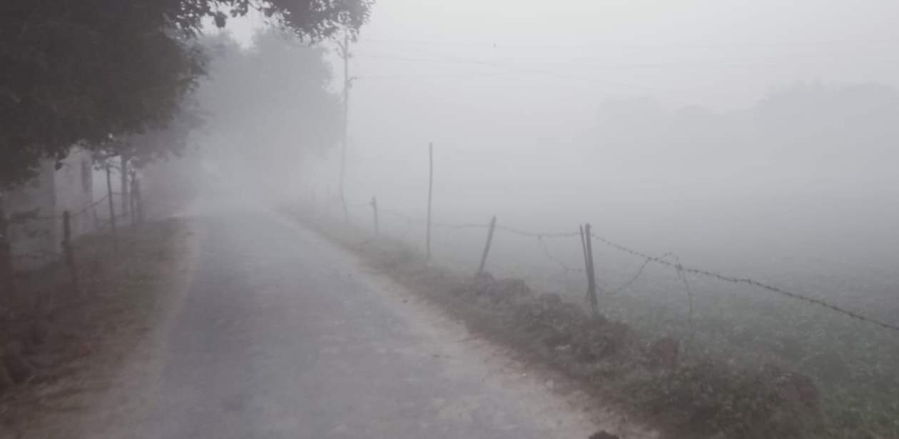 सादाबाद में सड़क पर छाई धुंध।  संवाद