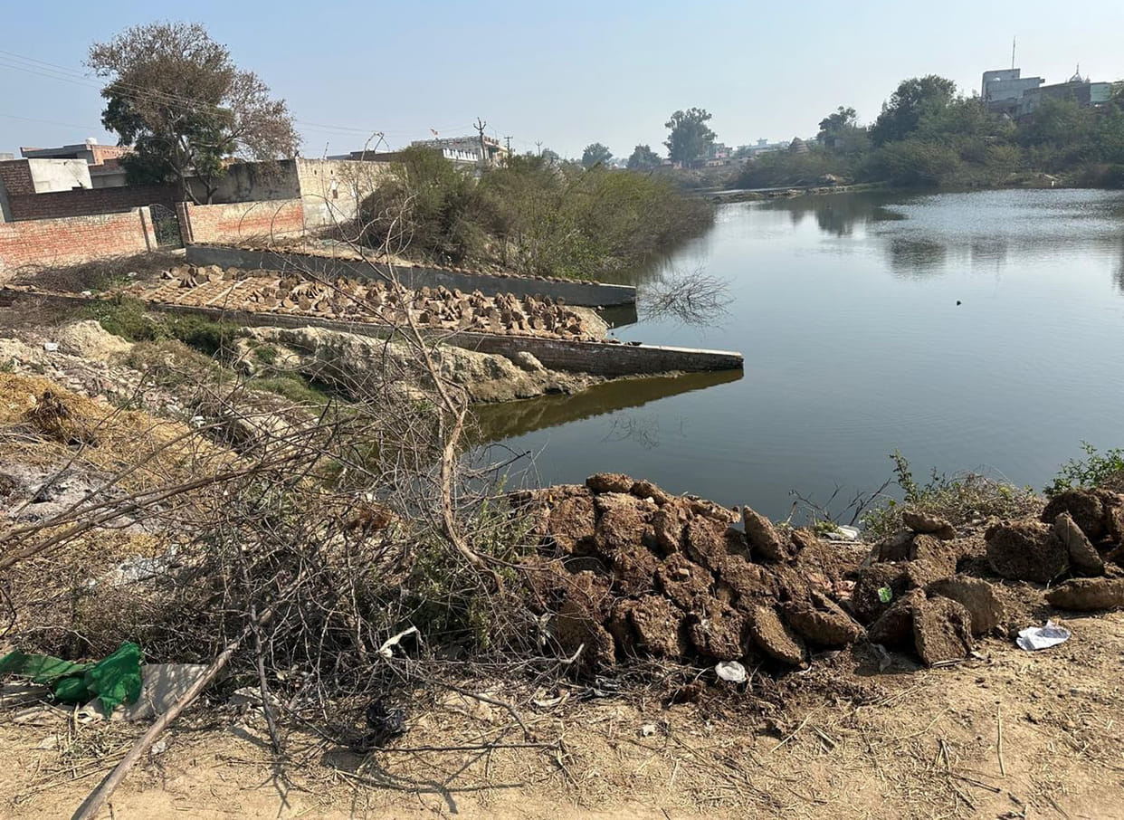 Despite spending Rs 4.63 crore, six ponds in Balu village remain in a dilapidated condition.