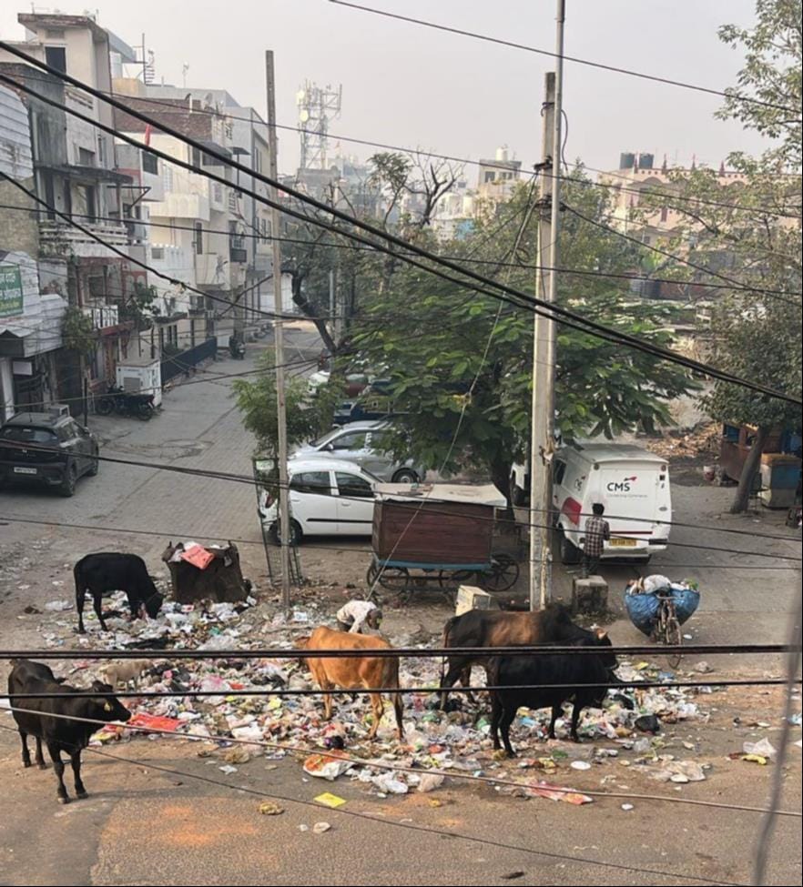 20-year-old seven main dumping zones abolished