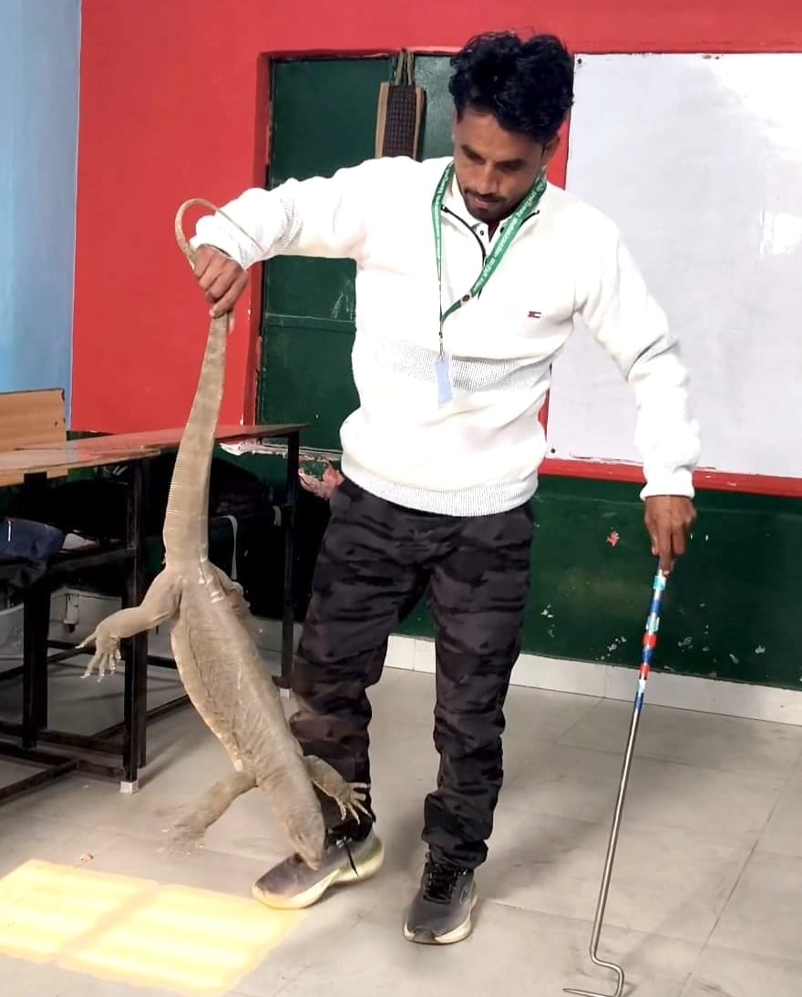 A poisonous scorpion entered a class in a composite school, causing panic.