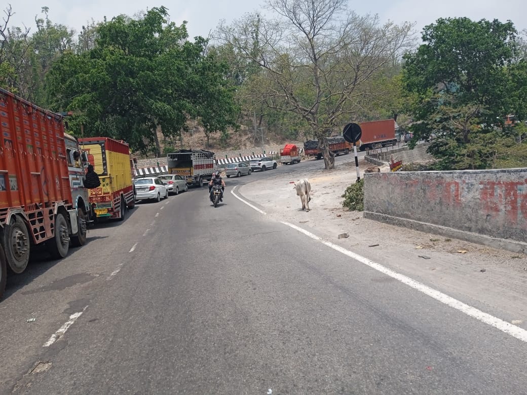 Truck breaks down in the hills, Doon Highway blocked for two hours