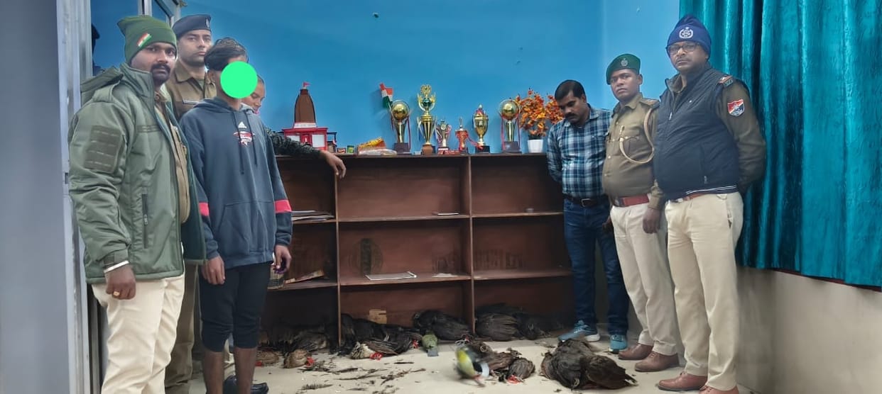 rohtas bihar news: national bird smuggling racket busted, partridge and green pigeon recovered