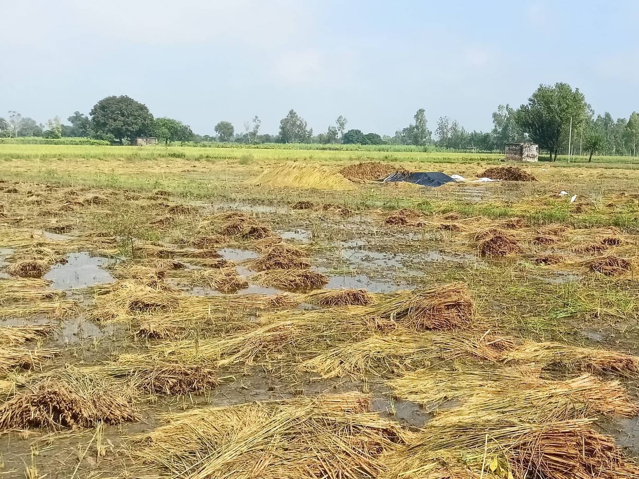 Farmers wandering for compensation