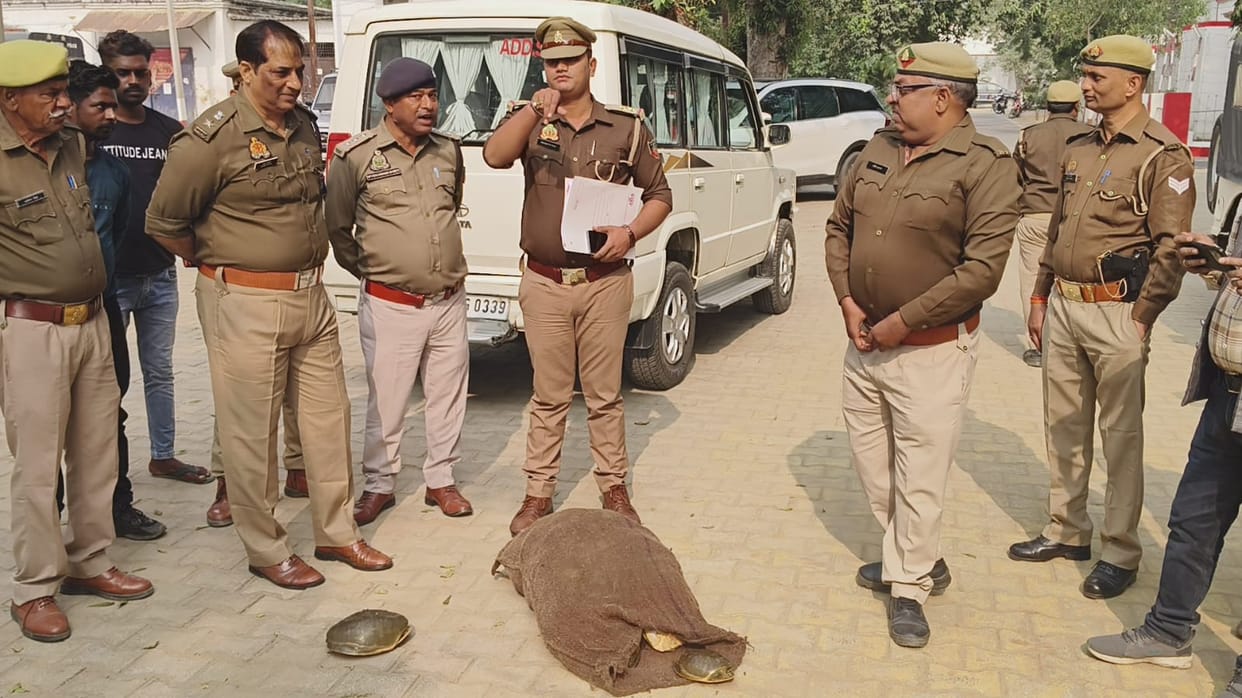 Two smugglers caught at Dumila border, 74 turtles recovered