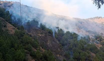 The wedding party lit firecrackers, sparks that sparked a forest fire.