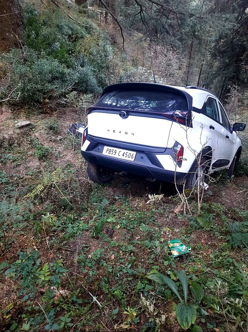 Tourists' car falls off the road and gets stuck in a tree, seven injured, one critically.