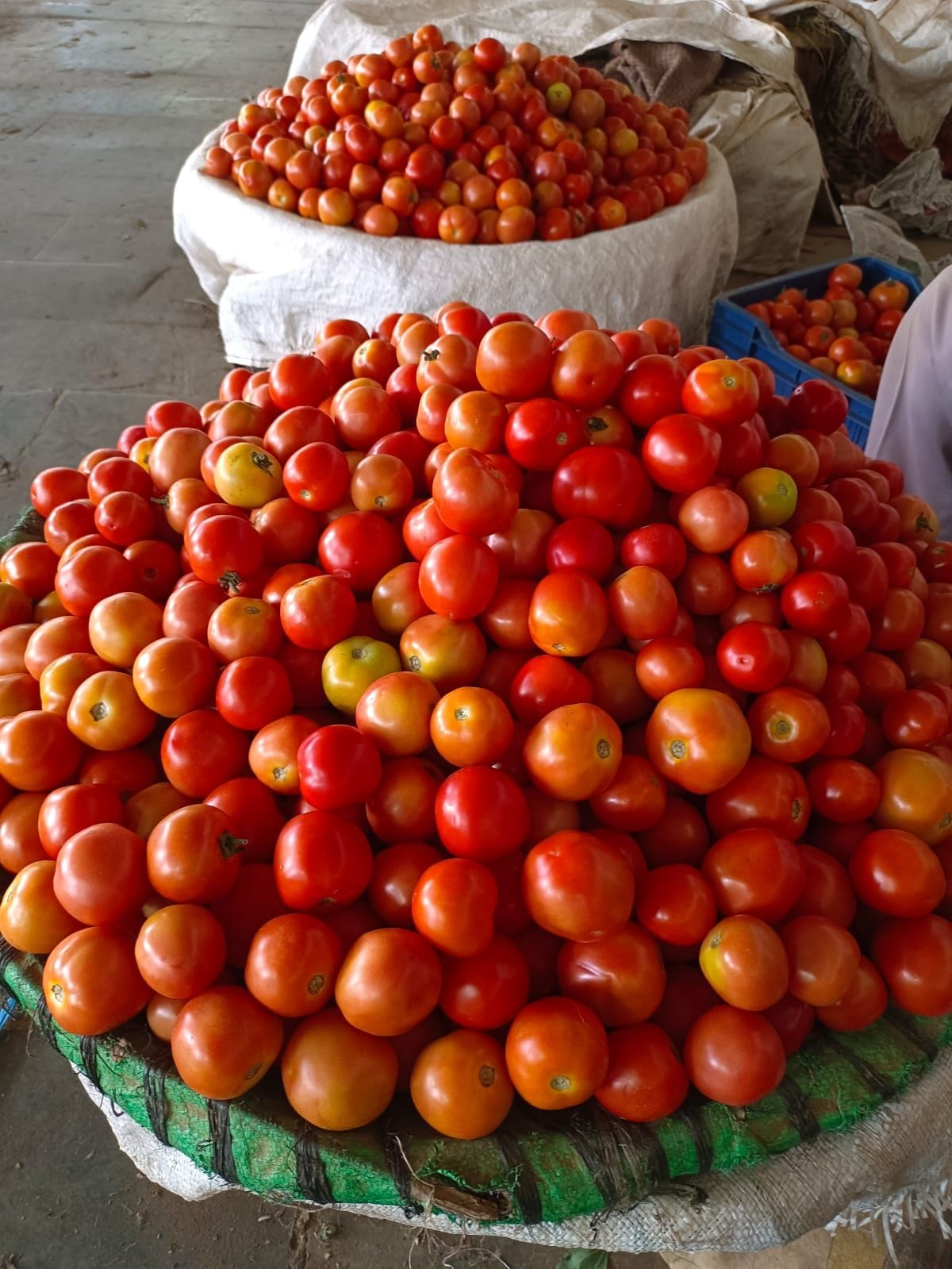 Tomatoes are throwing tantrums like apples...price reaches Rs 70