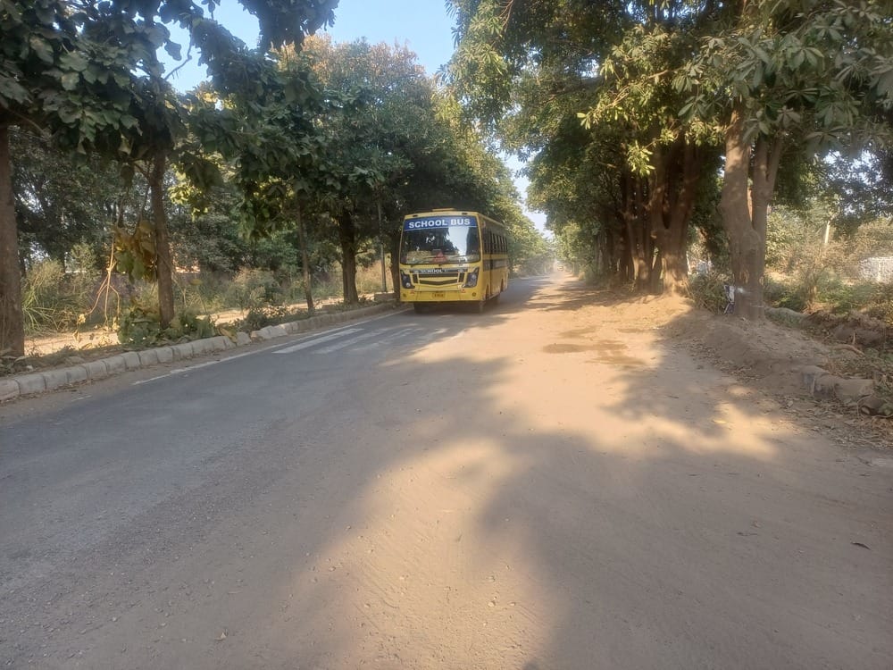 Sectors 32, 33 and 34 of Ambala Cantonment are in a state of chaos.