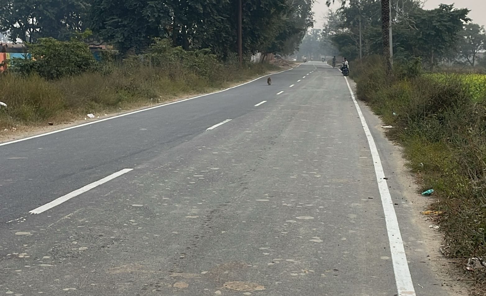 The 35-km-long Bilsi-Islamnagar road will be widened.