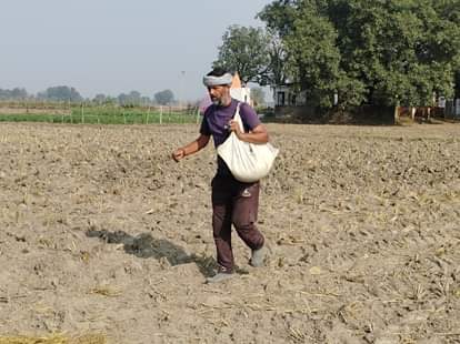 paragwal news, agriculture