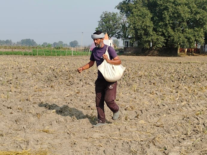 paragwal news, agriculture