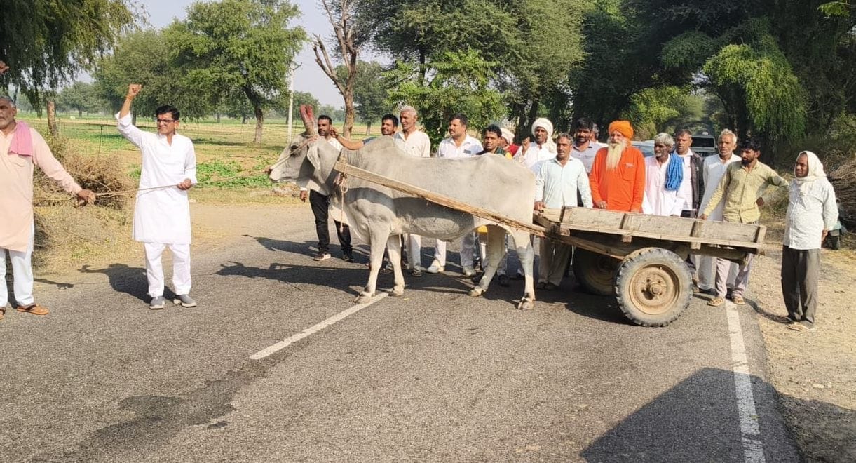 Villagers expressed anger over the felling of green trees and protested by blocking the road in Gokalpura.