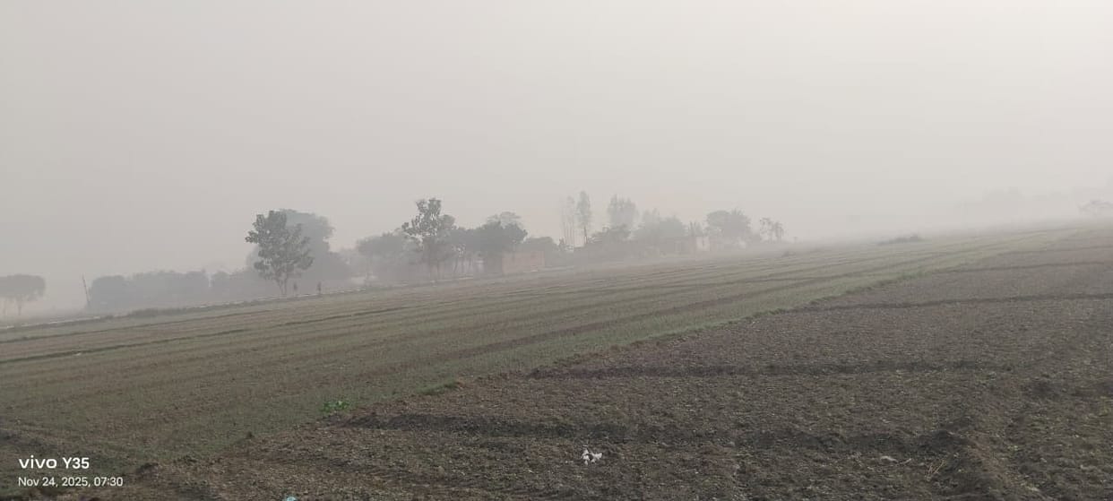 Changed weather: Westerly winds increase cold