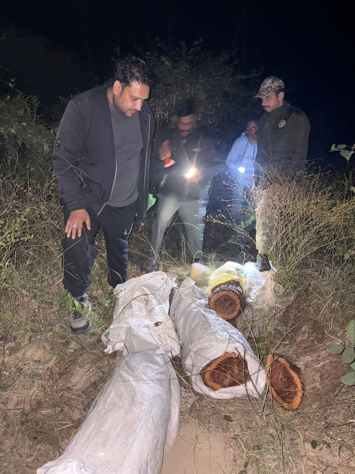 Illegal felling of Khair trees in Dharuhi, Forest Department caught seven people