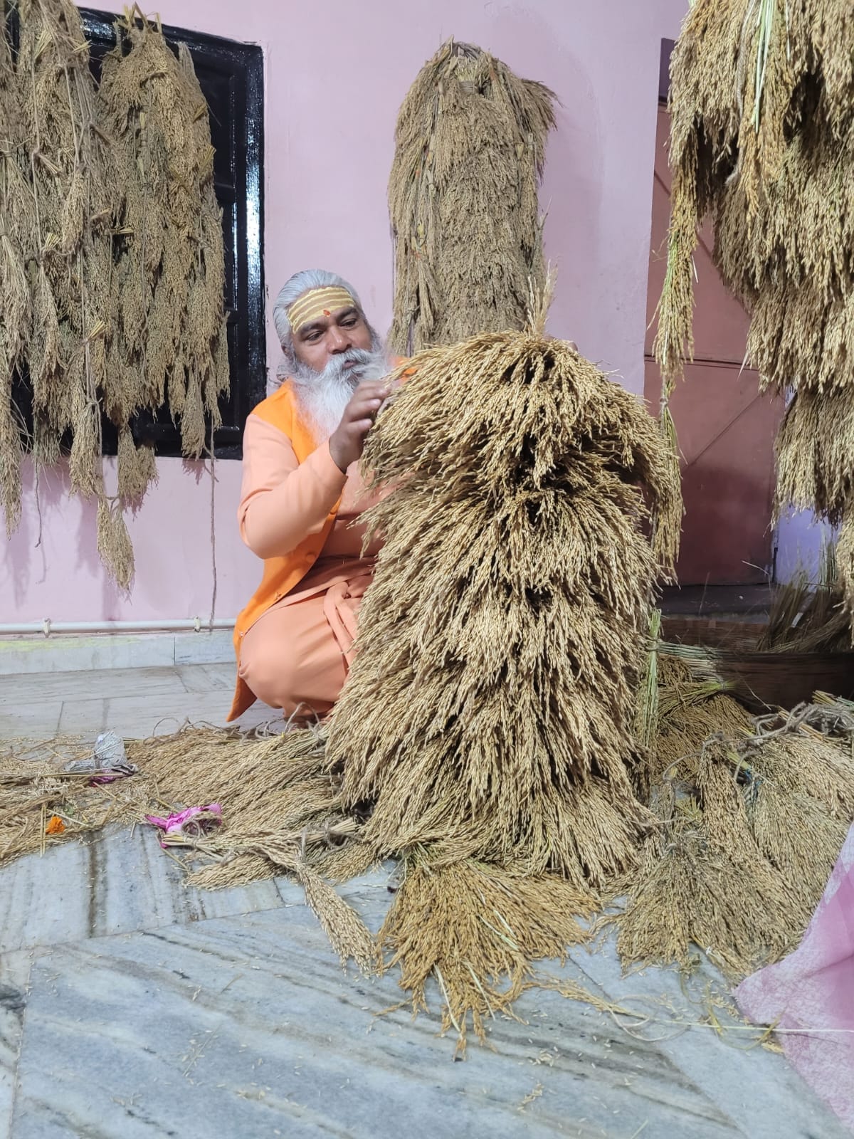 Tomorrow, the court of Mother Annapurna will be decorated with paddy stalks of the farmers of Purvanchal