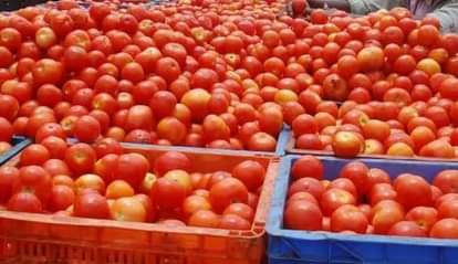 Punjab tomatoes will also be supplied to Canada Australia and Arab countries