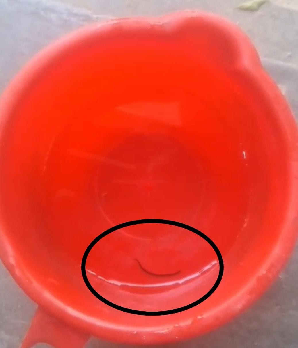 Insects have been coming out of the taps in Jamalpur for the last four days.