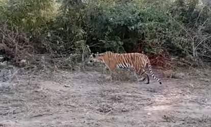 It is also risky to attend a wedding ceremony at night.