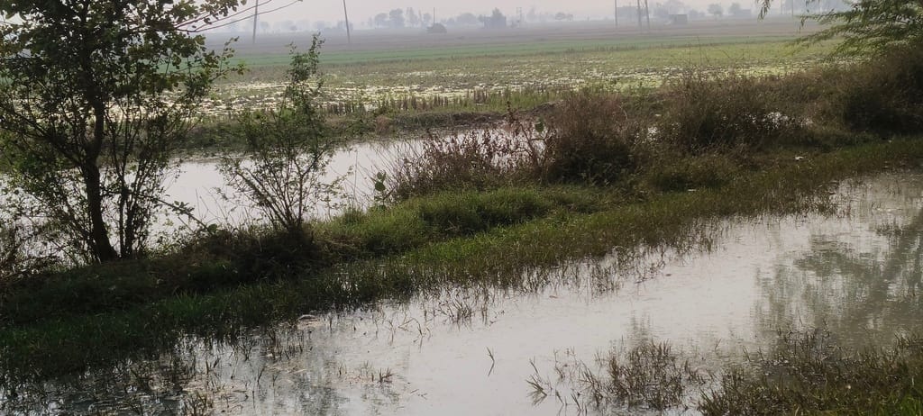 Dirty water filled the road due to lack of drainage